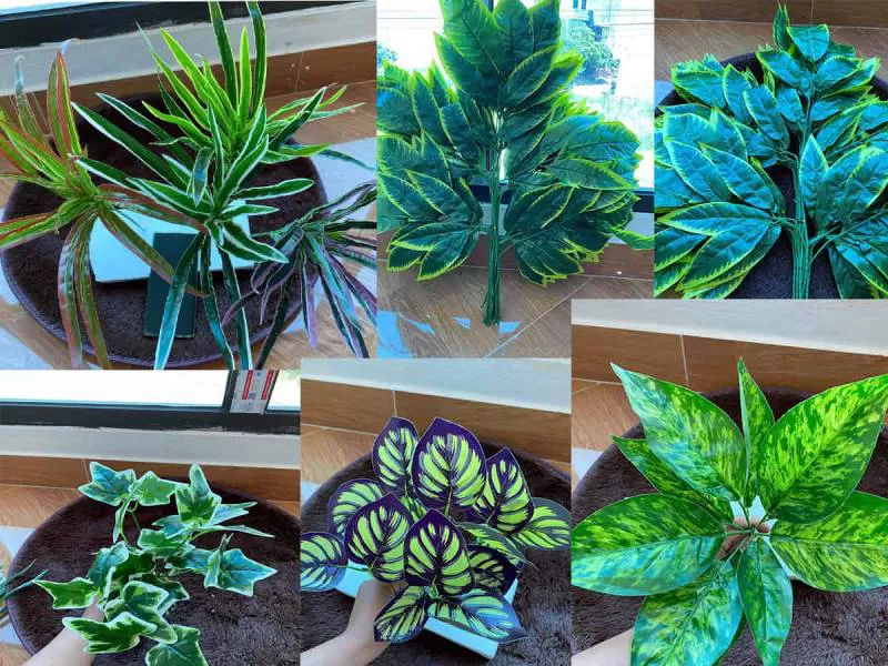 MẢNH TƯỜNG VD005