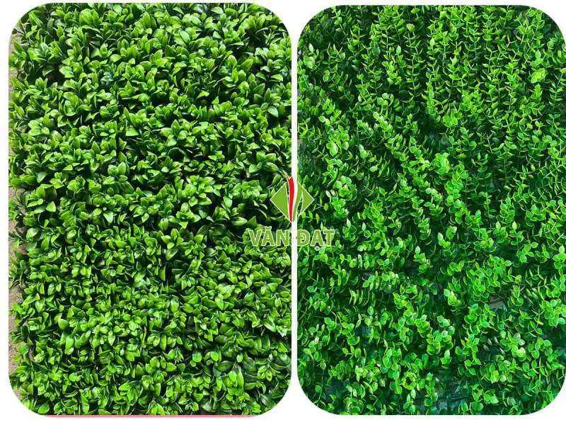 MẢNH TƯỜNG VD008