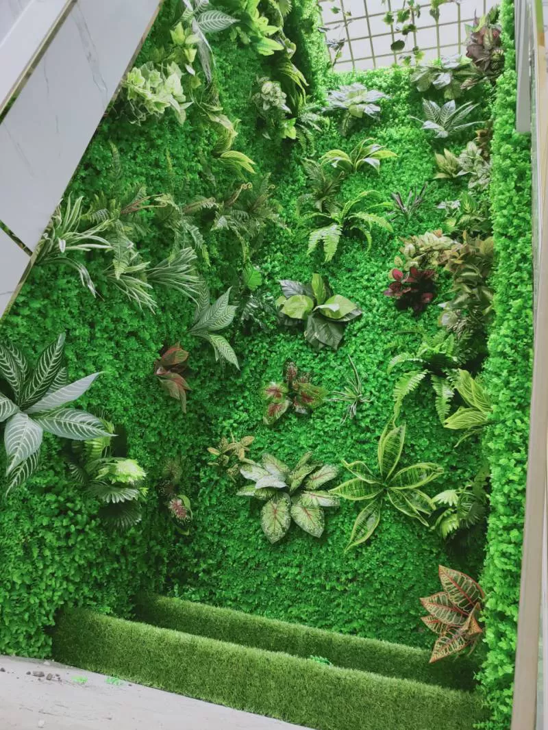 mảnh tường xinh