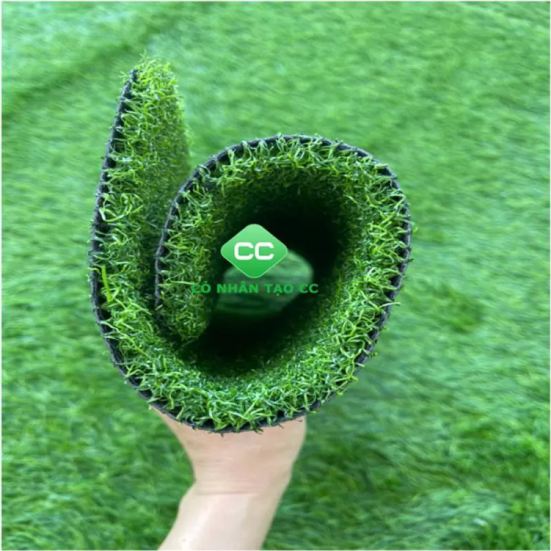 CỎ GOLF CC 001
