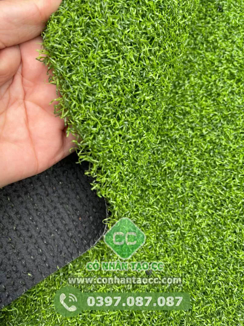 Cỏ nhân tạo Sân Golf CC.01