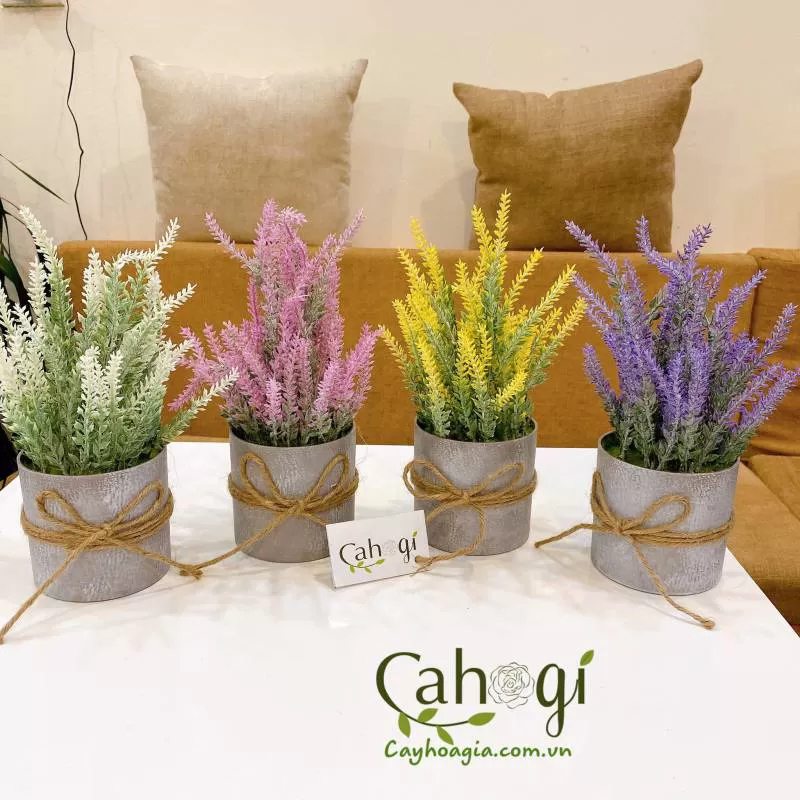 Chậu Hoa Oải Hương Giả Xi Măng 30 cm 