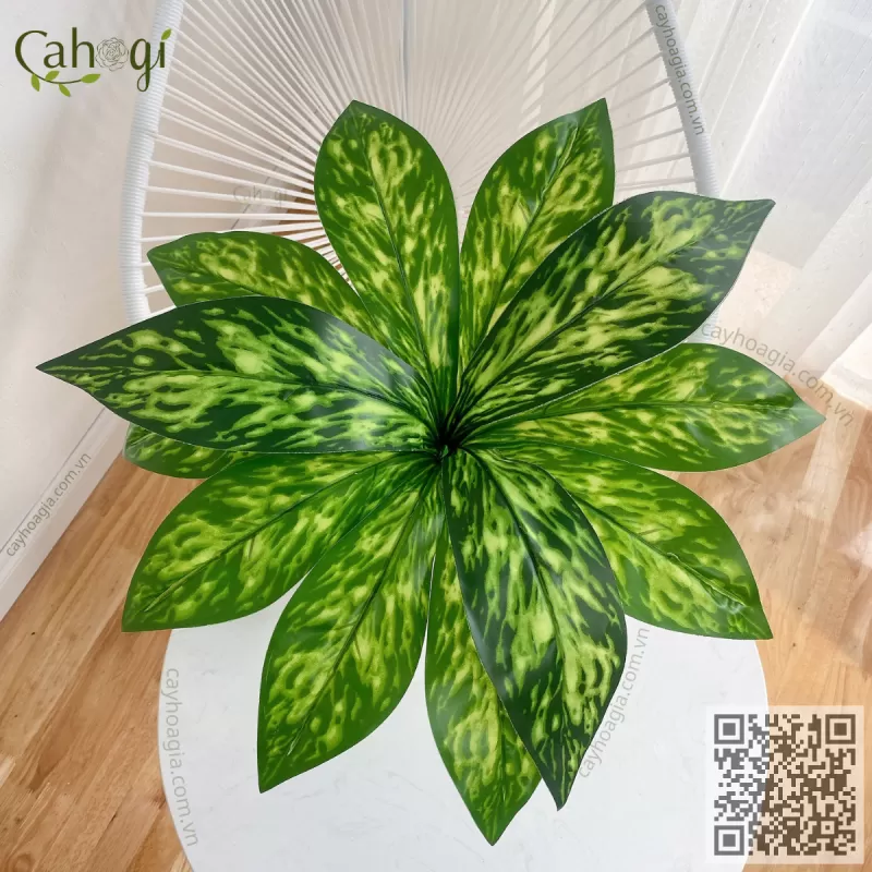 Cây Giả - Cây Hoàng Hậu