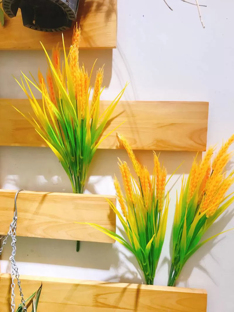 Chùm Lúa Mạch 33Cm 