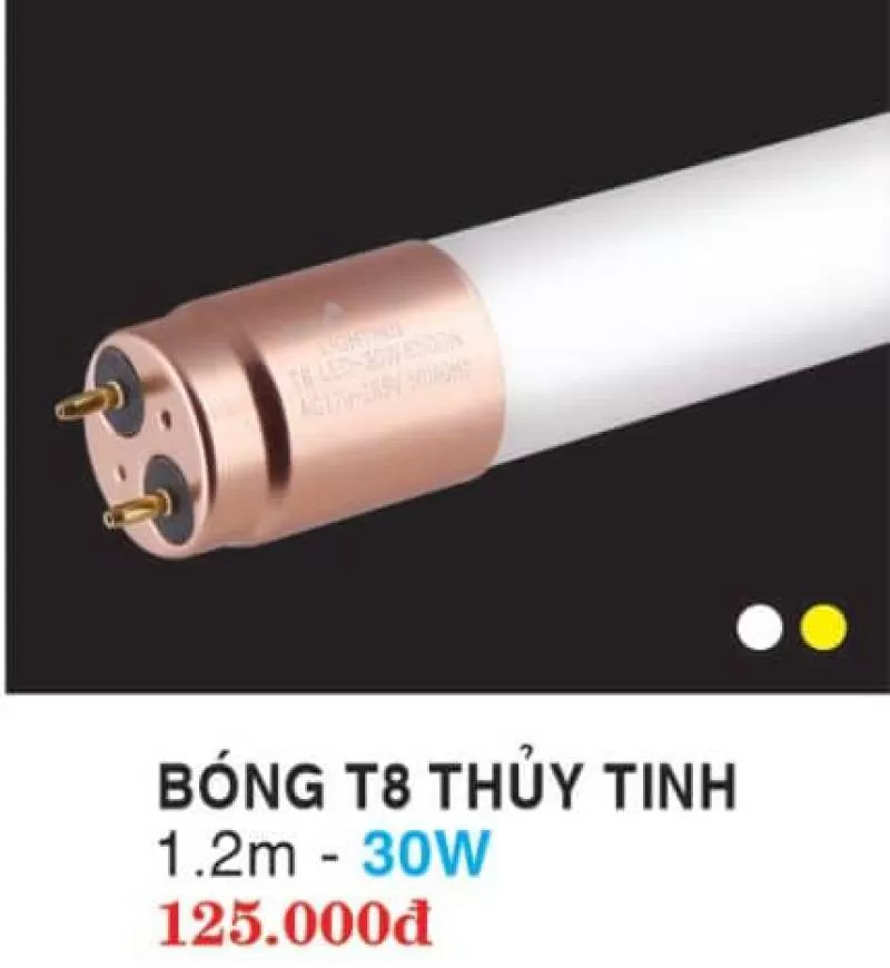 Bóng T8 thủy tinh