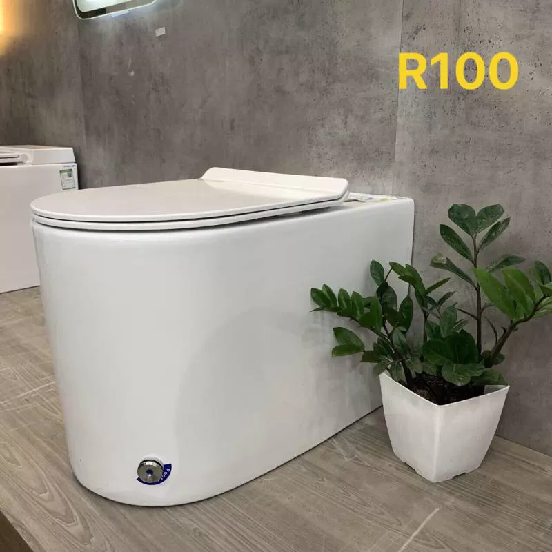 Bệt liền khối Homaya Korea R100 