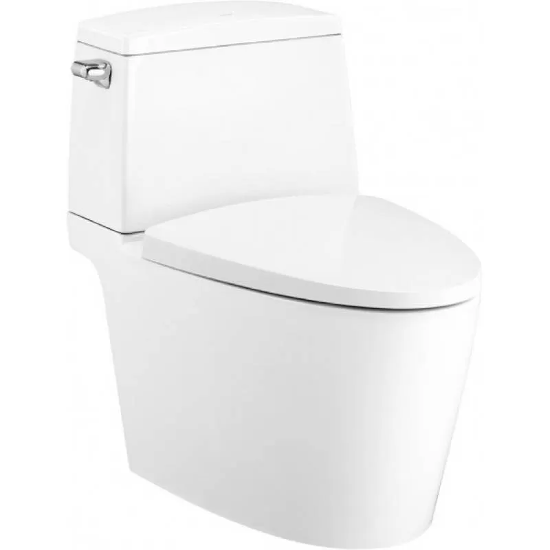 Bồn Cầu Hai Khối Nắp Đóng Êm Riviera Pro Xả Gạt Chính Hãng Cotto C13537