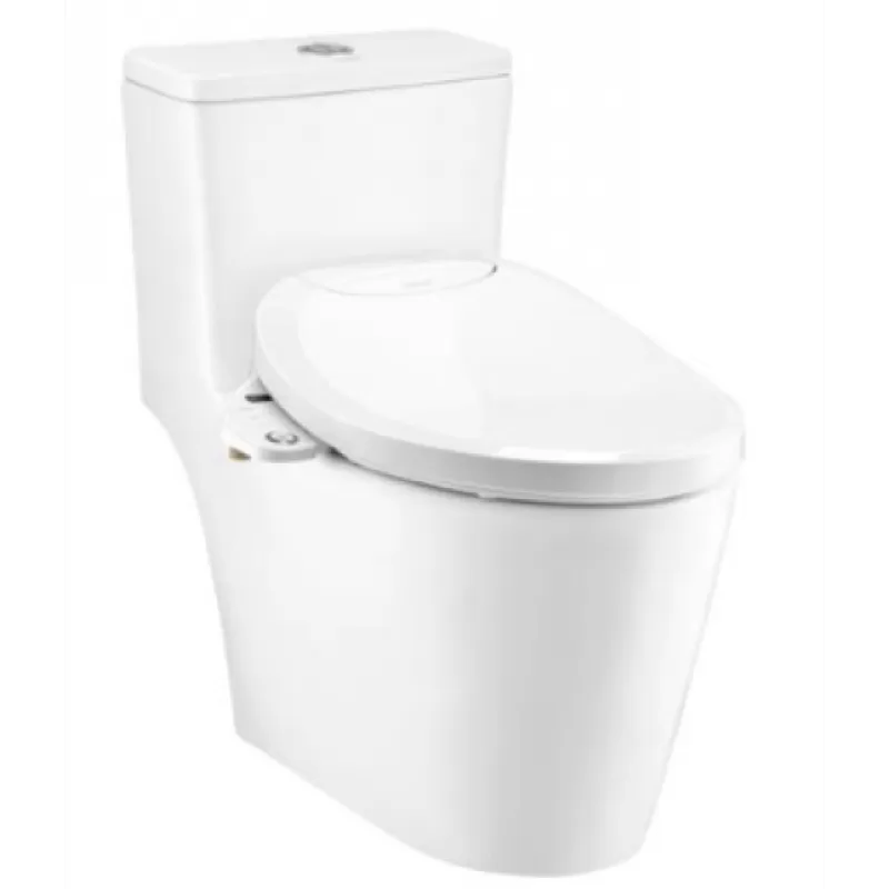 Bàn Cầu 1 Khối Nắp Điện Tử Chính Hãng COTTO C110507(CV7) Harmony