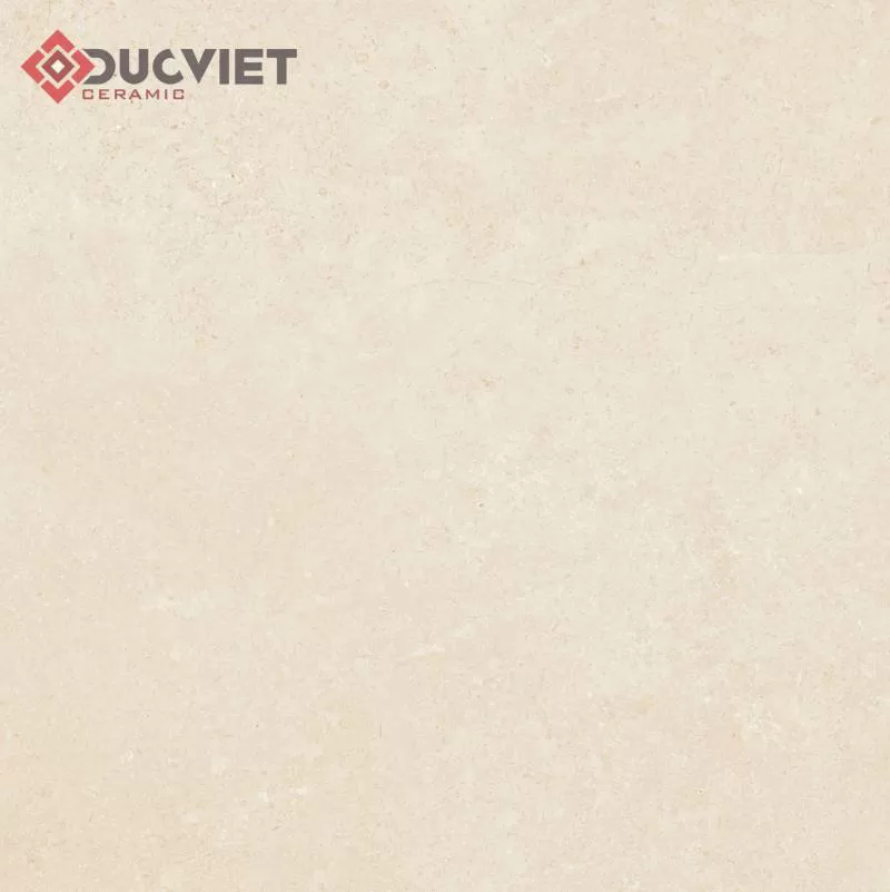 Gạch Eurotile 20mm PT20-G6601 60x60 