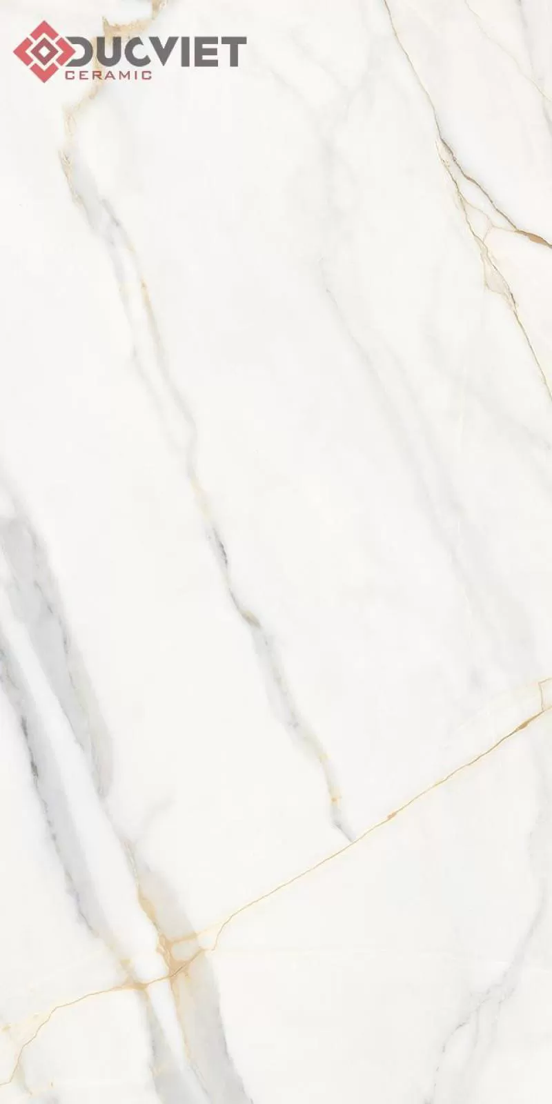 Gạch Eurotile DAN N01P 75x150 