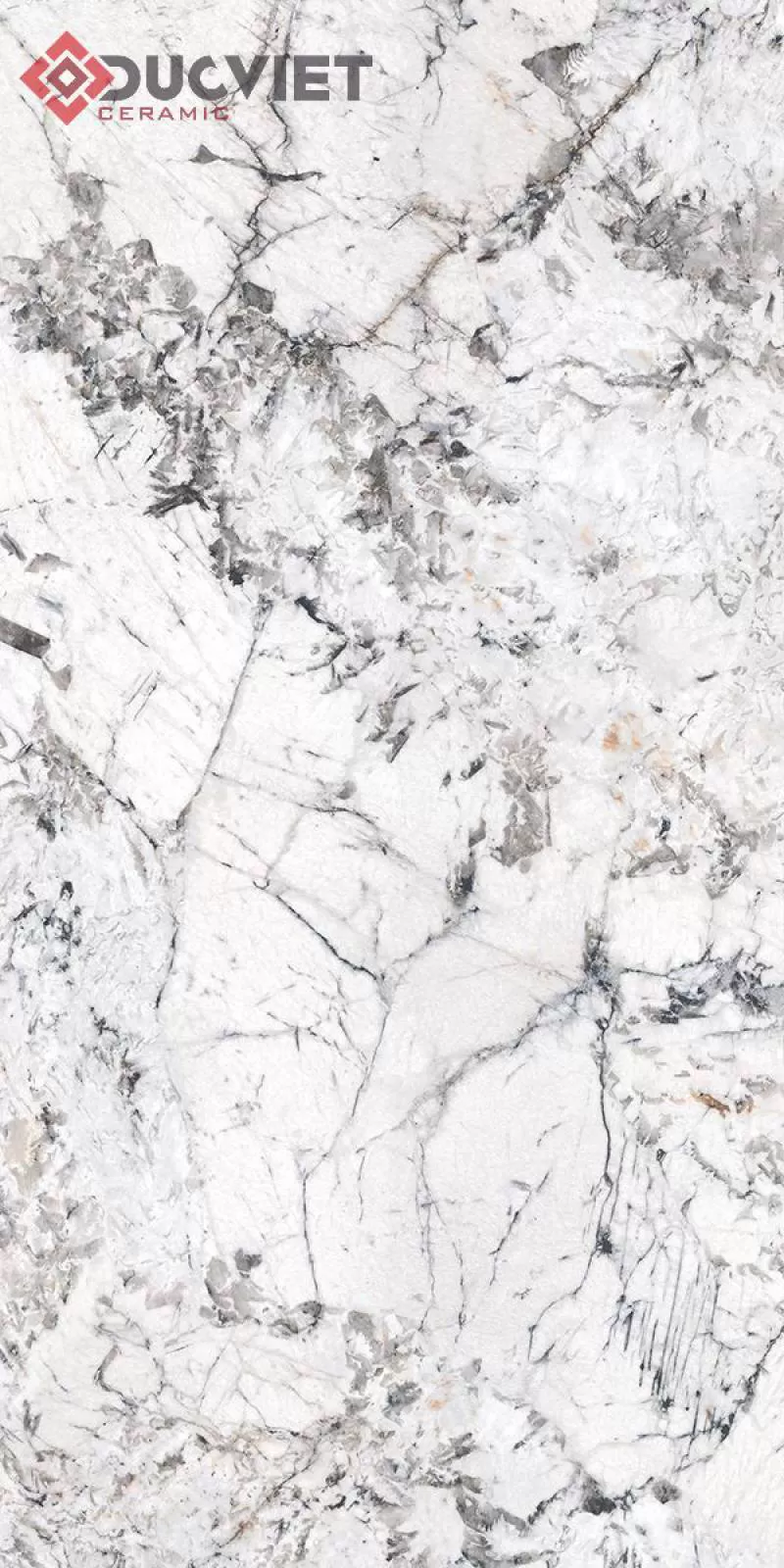 Gạch Eurotile SIG-NHV Q01 60x120 