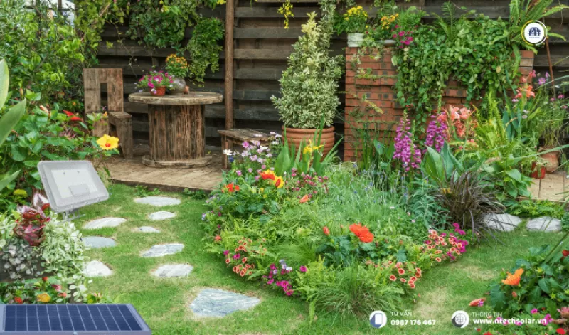 Đèn pha năng lượng mặt trời 100W Blue Carbon BCT-TT 1.0