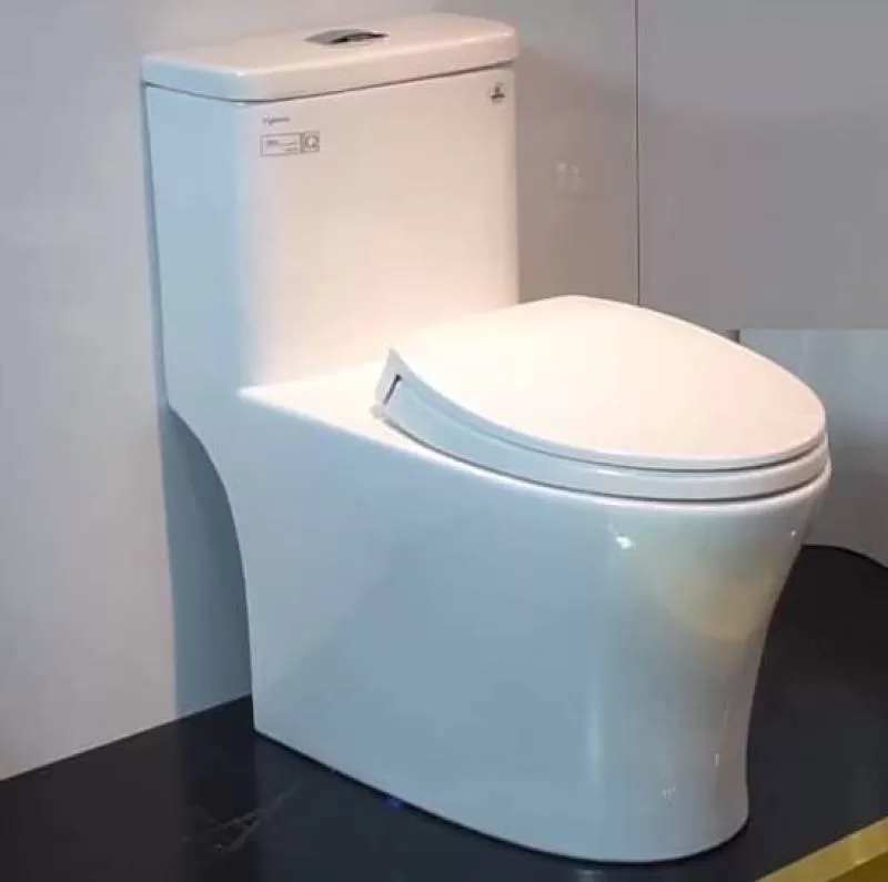 Bồn cầu 1 khối Viglacera V68 