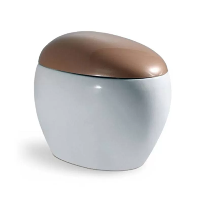 Bồn cầu điện tử D&K – AC1210 Gold