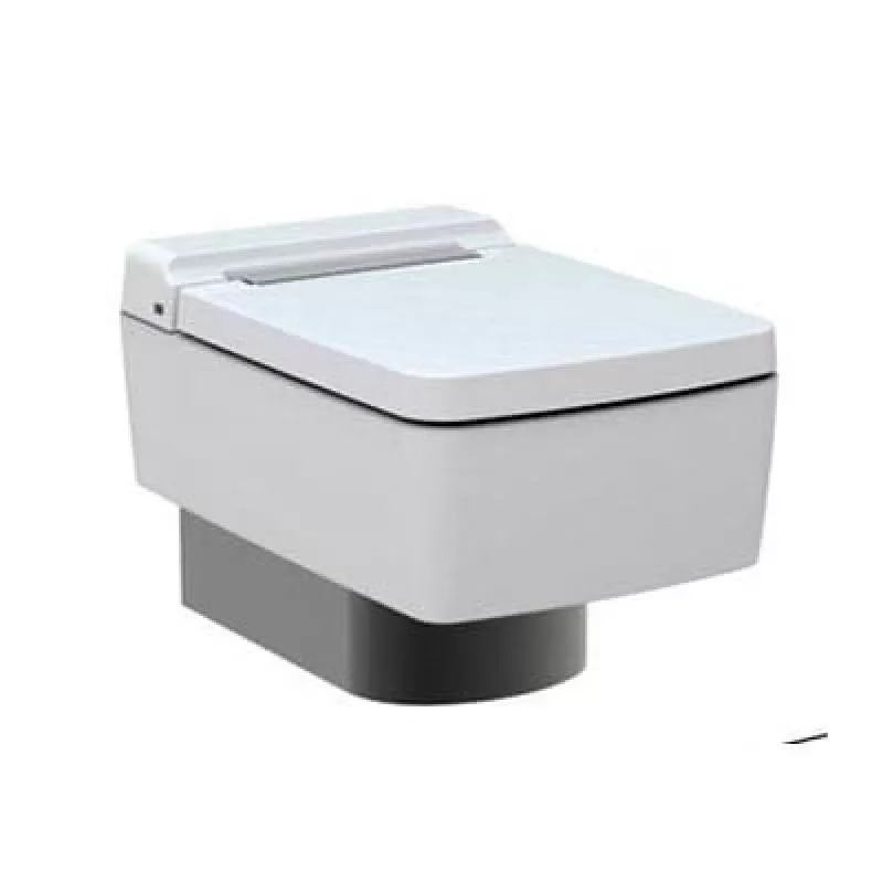 Bồn cầu treo tường TOTO nhập khẩu CW512YR#W 9AE0017 (Thoát ngang)