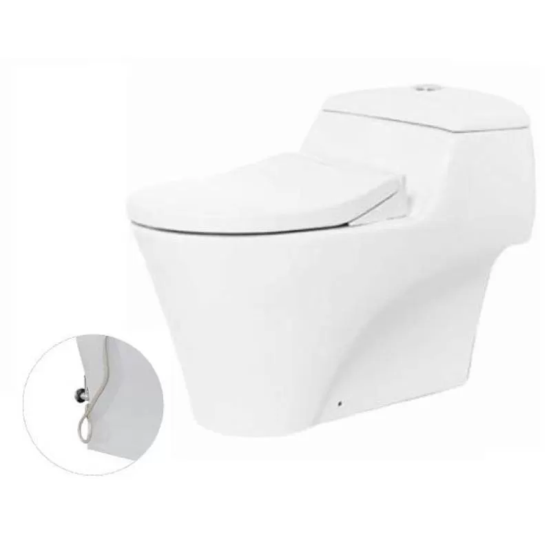 Bồn cầu 1 khối kèm nắp đóng êm TOTO CW823NWFE2