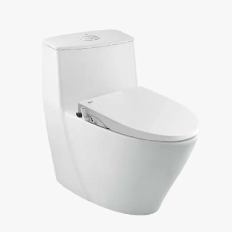 Bồn cầu 1 khối kết hợp nắp rửa cơ INAX AC-919R-CW-S15VN