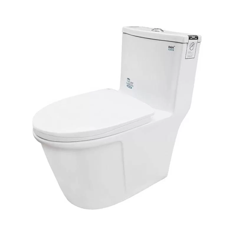 Bồn cầu 1 khối D&K DK – C2419