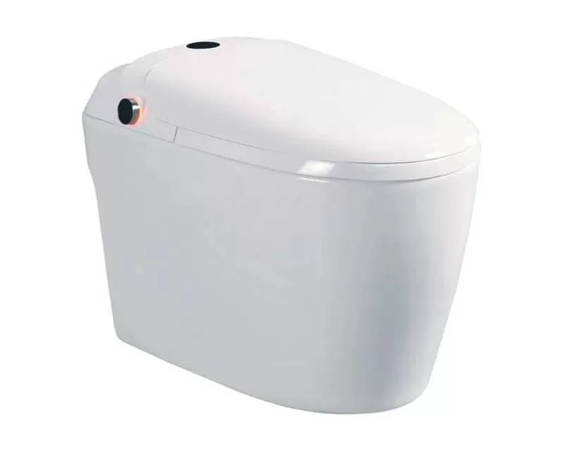 Bồn cầu điện tử D&K DK – AC1229