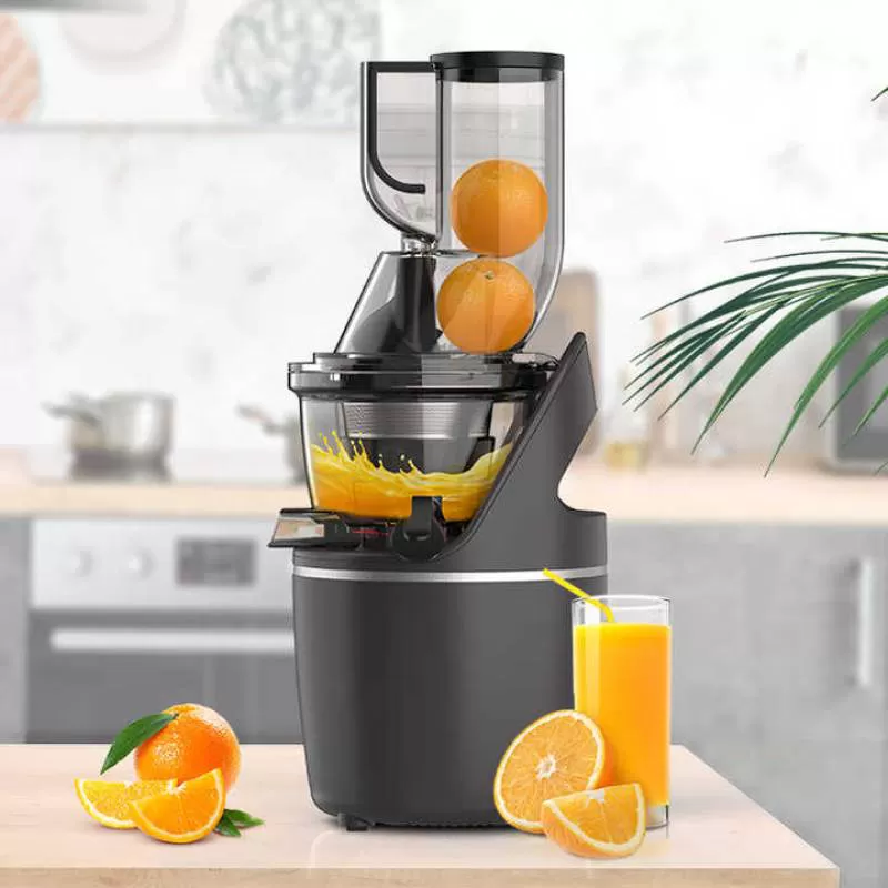 Professional Commercial 240W 3-in-1 Oran Electric Blender Portable Slow Juicer with Carrot Extractor Cold Press Features