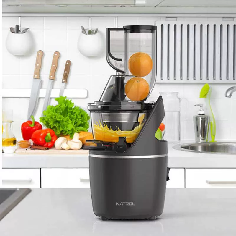 High Capacity Electric Juicer Portable Slow Fruit Juice Maker with Plastic Container for Smoothies Household Use