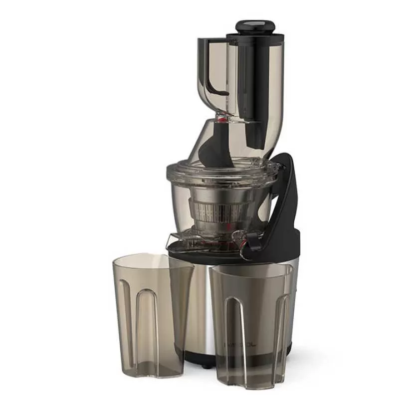 Newest Stainless Steel Housing Wide Caliber Chute 76 mm Whole Fruit Electric Orange Citrus Slow Cold Press Juicer