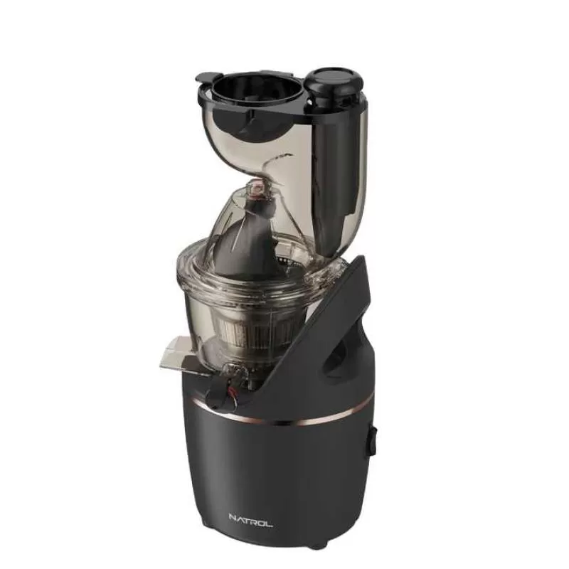 Factory Direct Multi-Function Commercial Cold Press Slow Juicer Ice Cream Smoothie and Vetable Fruit Juicer Mixer Machine