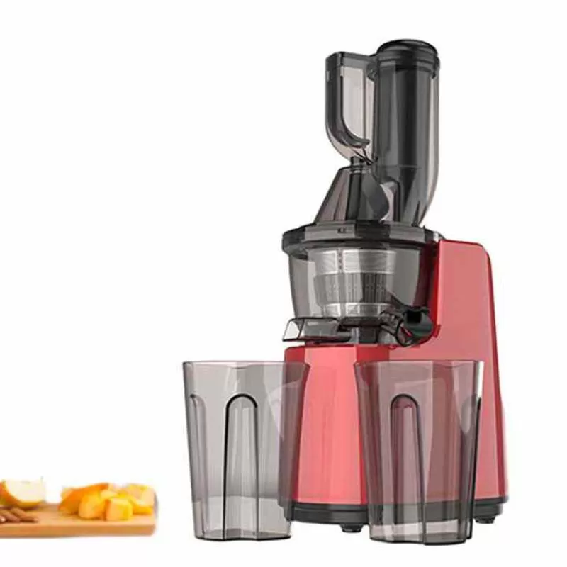 Quiet Motor Cold Press Juicer Machine Easy to Clean with Reverse Function and Slow Masticating for Home Kitchen Low Noise