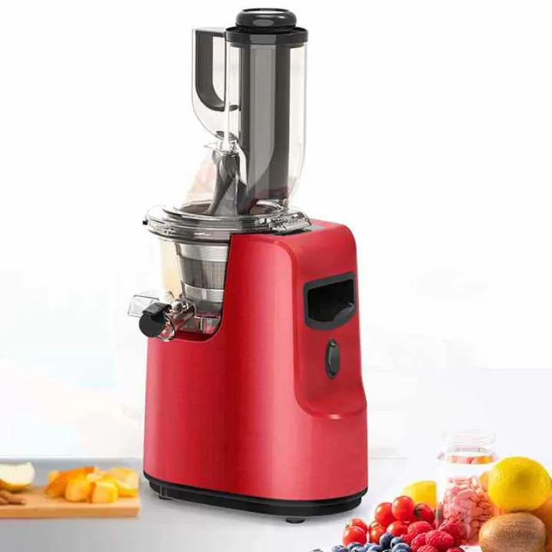 Reduced Oxidation Stainless Steel Filter Screen Cold Pressed Slow Screw Household Fruit Juicer