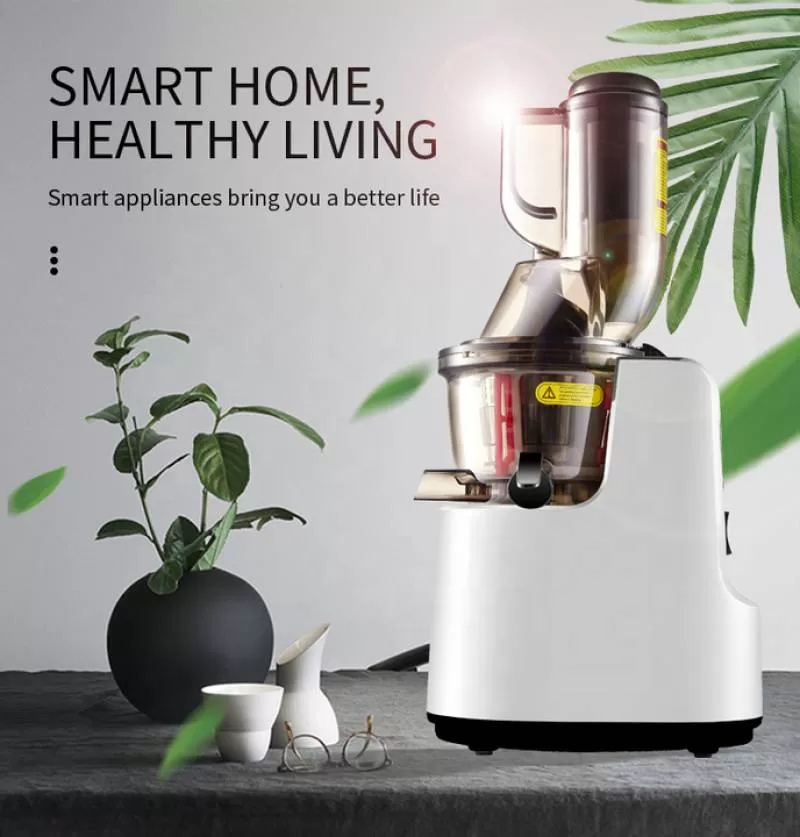 Zhongshan Manufacturer's Big Chewing Mouth Vertical High Juice Yield Slow Masticating Juicer Low Noise and Food Grade Materials