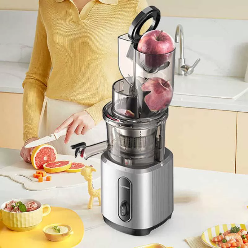 Multifunctional Stainless Steel Filters Big Mouth Slow Juicer Mixeur Portable Ice Cream Maker Machine for Home