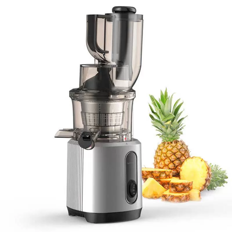 High Juice Yield 55RPM 240W AC Motor Quiet Motor 3 in 1 Reverse Function Cold Press Slow Masticating Juicer Machines