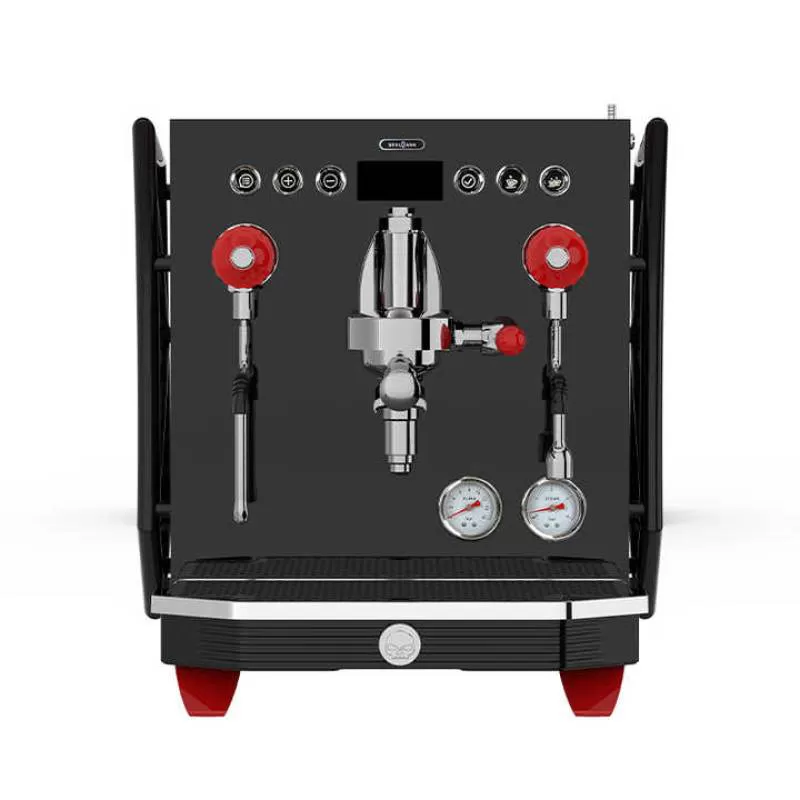 Professional Manual Italian 15 bar 3 in 1 Stainless Steel Commercial Espresso Coffee Maker for Cappuccino