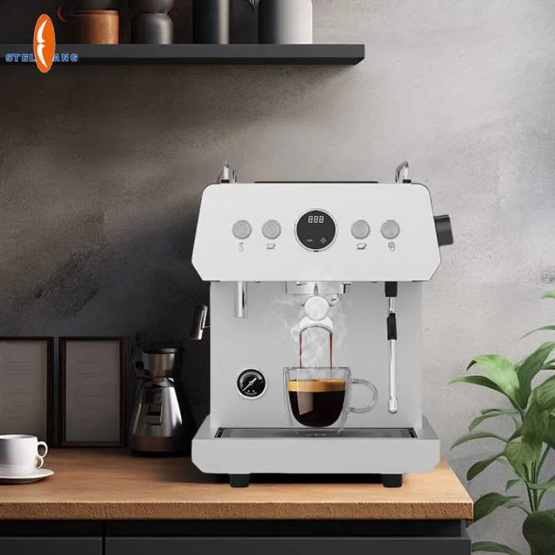 Kitchen Appliance 19 bar Semi Automatic Professional Espresso Coffee Maker Machine with Milk Frother 