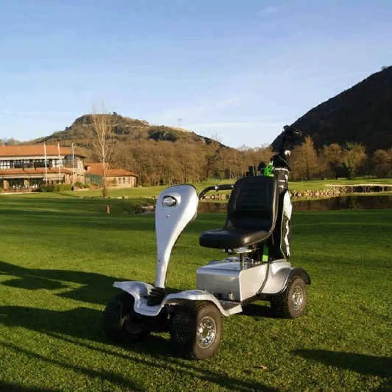 CE Approved Sports Golf Cheap dune Buggy
