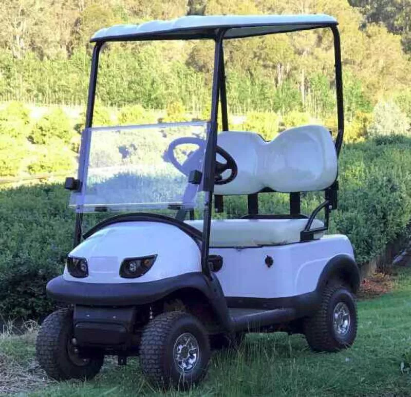 Unique Design Club Car Golf Buggy Mini Golf Buggy Electric Go Kart