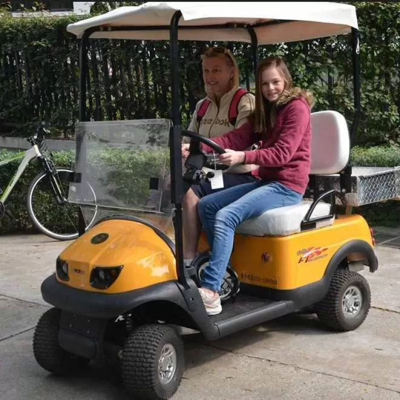 Multifunction Club Car Golf Cart Double Seat Electric Mobility Scooter Sale