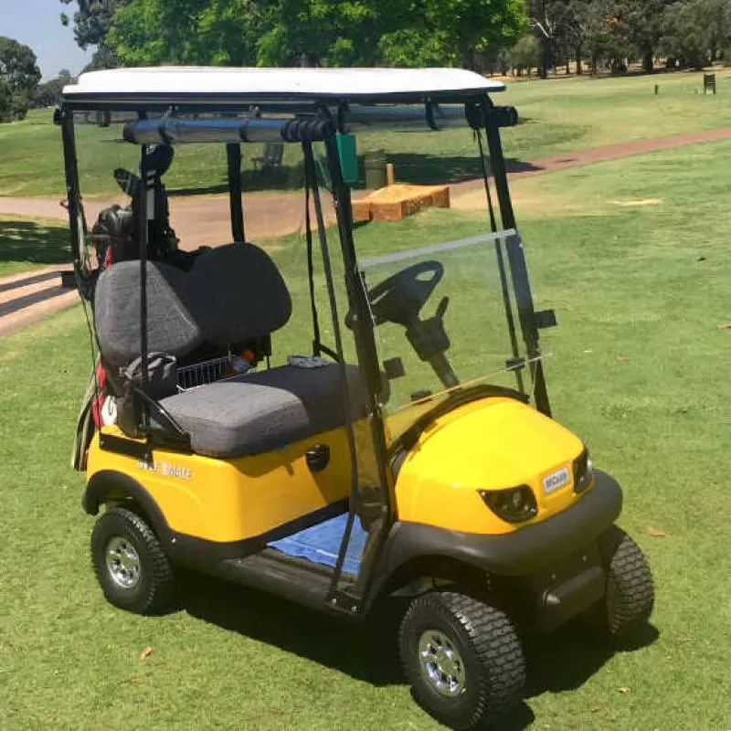 2 Seater Club Car Golf Cart Mini Golf Buggy for Sale