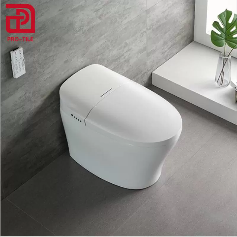 Mobile Intelligent Toilet