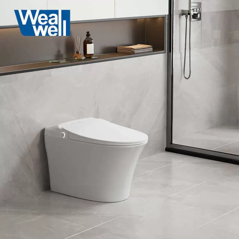 Manufacture Luxury Design Automatic Flushing Bidet Intelligent Rear and Female Cleaning Smart Toilet 