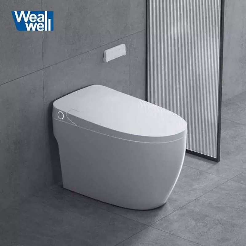 One Piece Simple Design Intelligent Bidet Instant Heating Auto Flush Smart Toilet