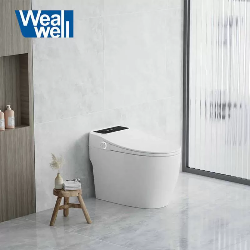 Wealwell Luxury Sanitary Ware Energy Saving Smart Bidet Toilet Intelligent  Toilet