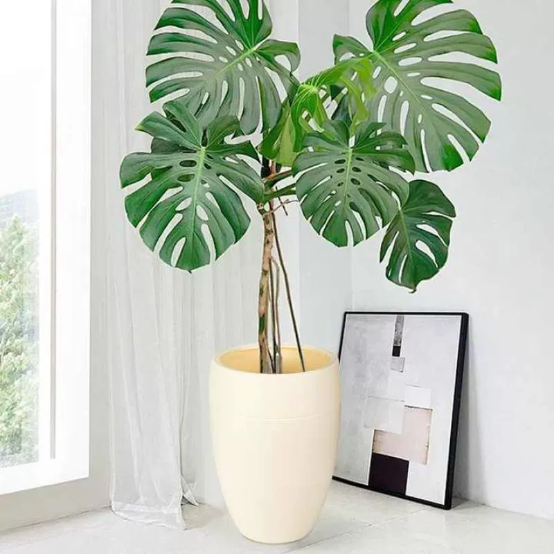 Home Decor Garden Decoration Green Flower Planters Plastic Plant Pot Plastic Flower Pot for Indoor Plants