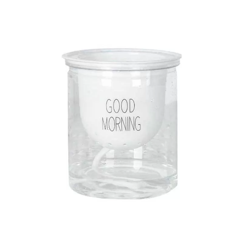 Lazy Flower Pot Automatic Water Absorption Transparent Round Plastic Hydroponic Flower Pot Creative Resin Succulent Flower Pot