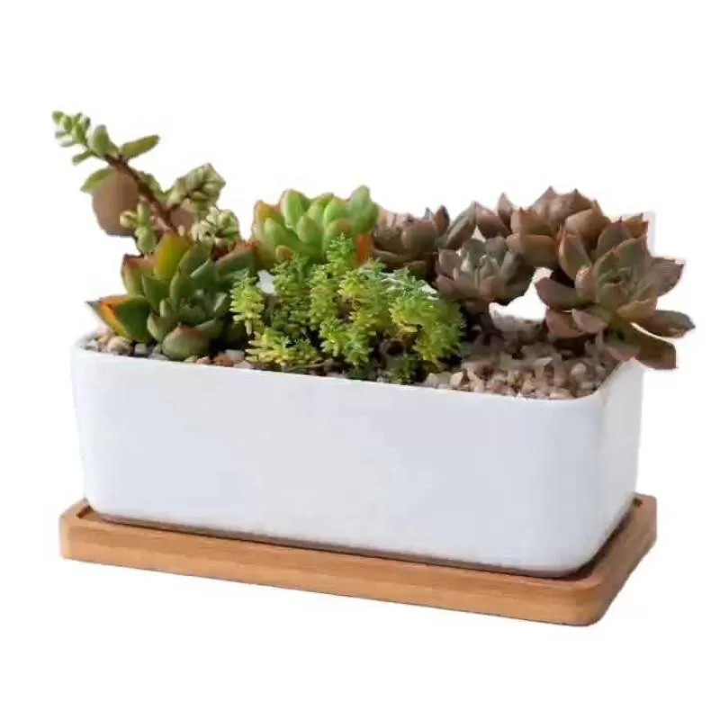 Ceramic Plant Pot With Wood Tray