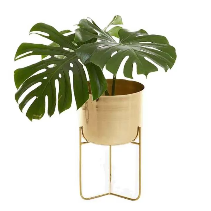 Indoor Flower Pot for Garden Golden Wholesale Plant Container Support Flower Pot for Plants Wholesale