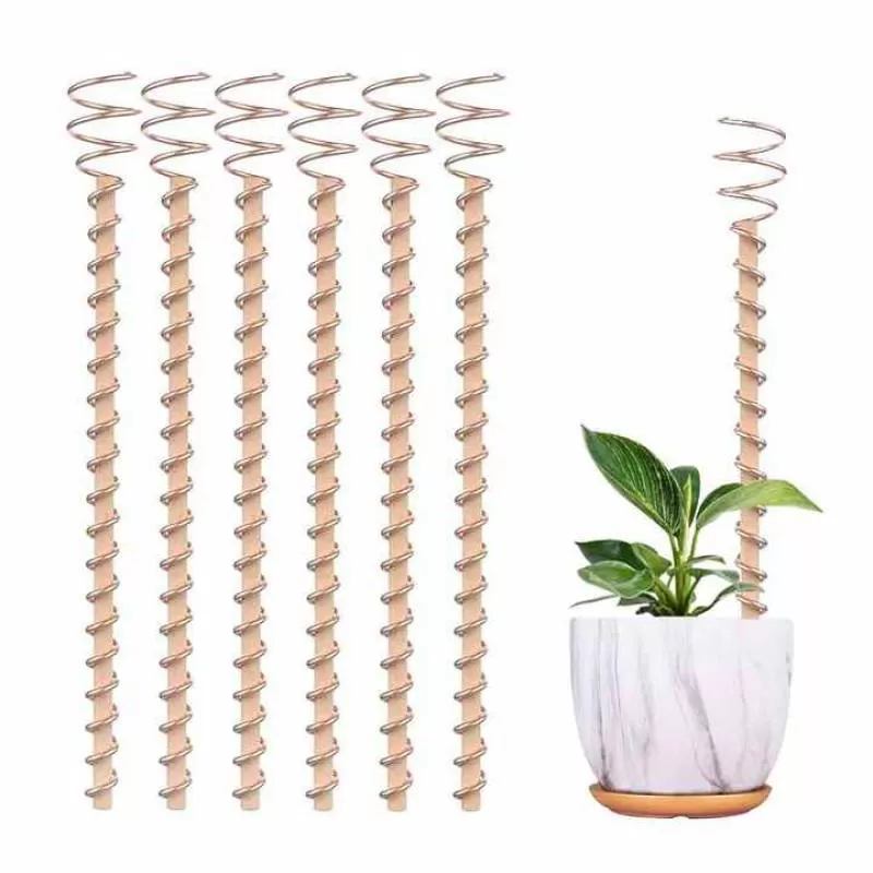 Electroculture Plant Stakes Cultivate Excellent Plant Electroculture Gardening Copper Coil Antennas