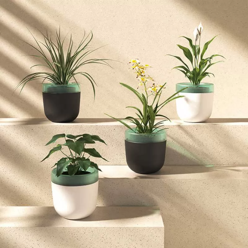 Small Self Watering Flower Pot Matte Automatic Watering Succulents Hydroponics Planter