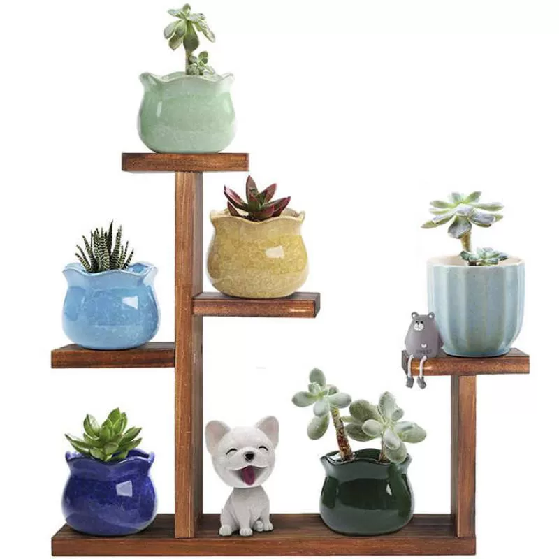 Wood Flower Herb Plant Holder Display Rack Windowsill Succulent Planter Small Shelves
