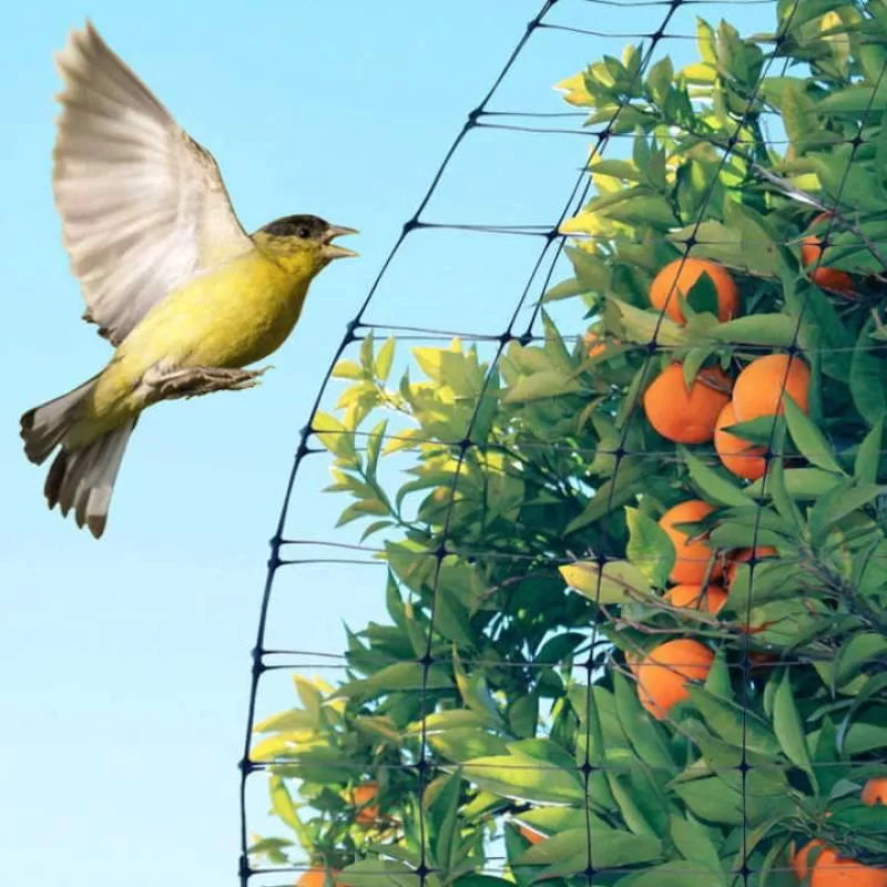 Anti Bird Deer Protection Net Reusable Protective Garden Fence Netting for Plants Fruit
